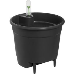 2 Piece Set - vibes fold round, Deep Blue, 18 cm with Self-Watering System - 1 Set