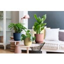 2 Piece Set - vibes fold round, Deep Blue, 18 cm with Self-Watering System - 1 Set