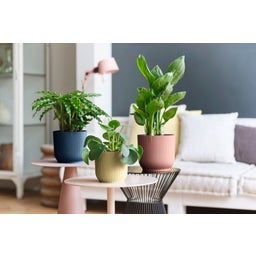 2 Piece Set - vibes fold round, Deep Blue, 18 cm with Self-Watering System - 1 Set