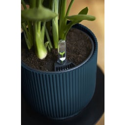 2 Piece Set - vibes fold round, Deep Blue, 18 cm with Self-Watering System - 1 Set