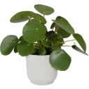 Set di 2 vibes fold rund 18 cm, bianco + self-watering insert - 1 set