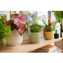 Set di 2 vibes fold rund 18 cm, bianco + self-watering insert - 1 set