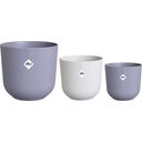 Set of 3 Planters - jazz round, Assorted Colours, 14 cm, 16 cm, 19 cm - 1 Set