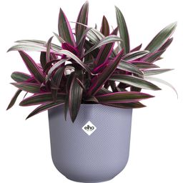 Set of 3 Planters - jazz round, Assorted Colours, 14 cm, 16 cm, 19 cm - 1 Set