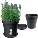 Green Basics Growpot Set, Living Black - Seed Pot 17 cm + Coaster 14 cm - 1 Set