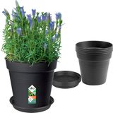 Green Basics Growpot Set Living Schwarz, Anzuchttopf 17cm + Untersetzer 14 cm