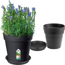 Green Basics Growpot Set Living Schwarz, Anzuchttopf 17cm + Untersetzer 14 cm - 1 Set