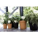 Set green basics grow pot de 17 cm, negro + saucer de 14 cm, negro - 1 set