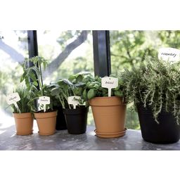 Green Basics Growpot Set Living Schwarz, Anzuchttopf 17cm + Untersetzer 14 cm - 1 Set