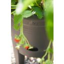 elho Pot pour Fraises GREEN BASICS - 33 cm