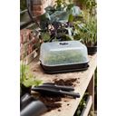 elho green basics grow set M