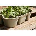 elho green basics Seed Tray 22 cm