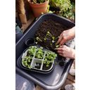 elho green basics Seed Tray 22 cm