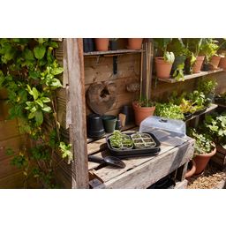 elho green basics seed tray - 22 cm