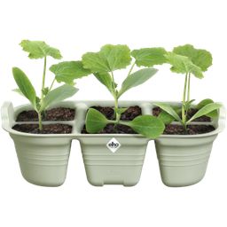 elho green basics Seed Tray 22 cm