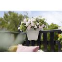 elho vibia campana flower bridge 40cm