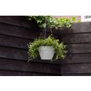 elho vibia campana hanging basket, 26 cm - cemento