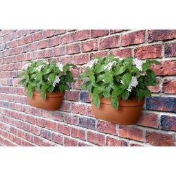 elho vibia campana wall pot 35cm - Terra