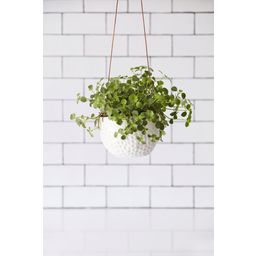 Burgon & Ball Plant Pot for Hanging 