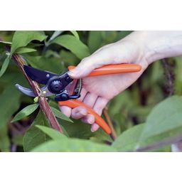 Burgon & Ball Micro Secateurs - Terracotta