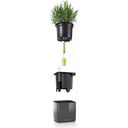 Lechuza Tabletop Planter CUBE Glossy CAT 14