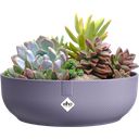 elho jazz bowl 28 cm - mauve lavande