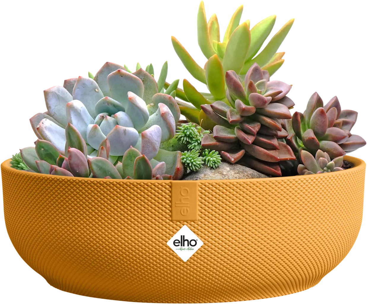 elho jazz bowl 28 cm - Amber Yellow