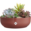 elho jazz bowl 28 cm - toskanisches rot