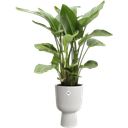 elho vibes fold coupe 30 cm - silkesvit