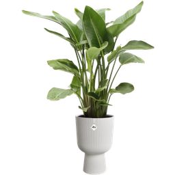 elho vibes fold coupe 30 cm - blanco seda 