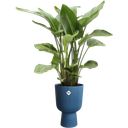 elho vibes fold coupe 30 cm - bleu profond