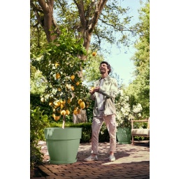 elho vibia campana rond 40 cm - vert pistache