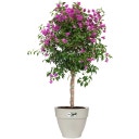 elho vibia campana round 40 cm - Silk White