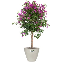 elho vibia campana round 40 cm - Silk White
