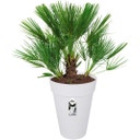 elho loft urban Rund Kruka 28 cm - Hög - vit