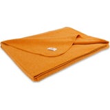 Steiner 1888 Sophia Deken