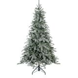 Evergreen Fichte Frost 180 cm