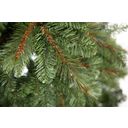 Evergreen Mesa Fichte inkl. Lichterkette 180 cm - 1 Stk