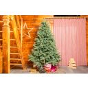 Evergreen Vermont Fichte 180 cm - 1 Stk