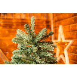 Evergreen Vermont Fichte 180 cm - 1 Stk