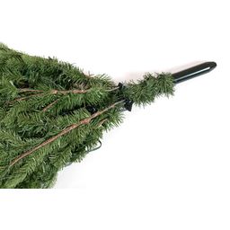 Evergreen Roswell Kiefer inkl. Lichterkette - 150 cm