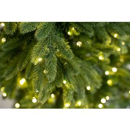 Evergreen Roswell Kiefer inkl. Lichterkette - 210 cm