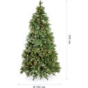 Evergreen Roswell Kiefer inkl. Lichterkette - 210 cm