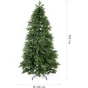 Evergreen Roswell Kiefer - 210 cm