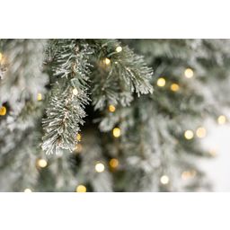 Evergreen Fichte Frost inkl. Lichterkette - 210 cm