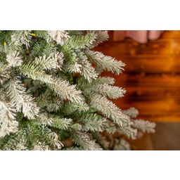 Evergreen Fichte Frost 180 cm - 1 Stk