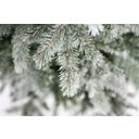 Evergreen Fichte Frost 180 cm - 1 Stk