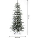 Evergreen Cedar Kiefer Frost 210 cm - 1 Stk