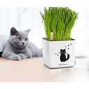 Lechuza Pot de Fleur - CUBE Glossy CAT 14 - 