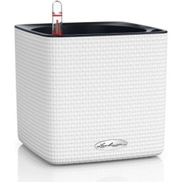 Lechuza Vaso - CUBE Color 16 - bianco